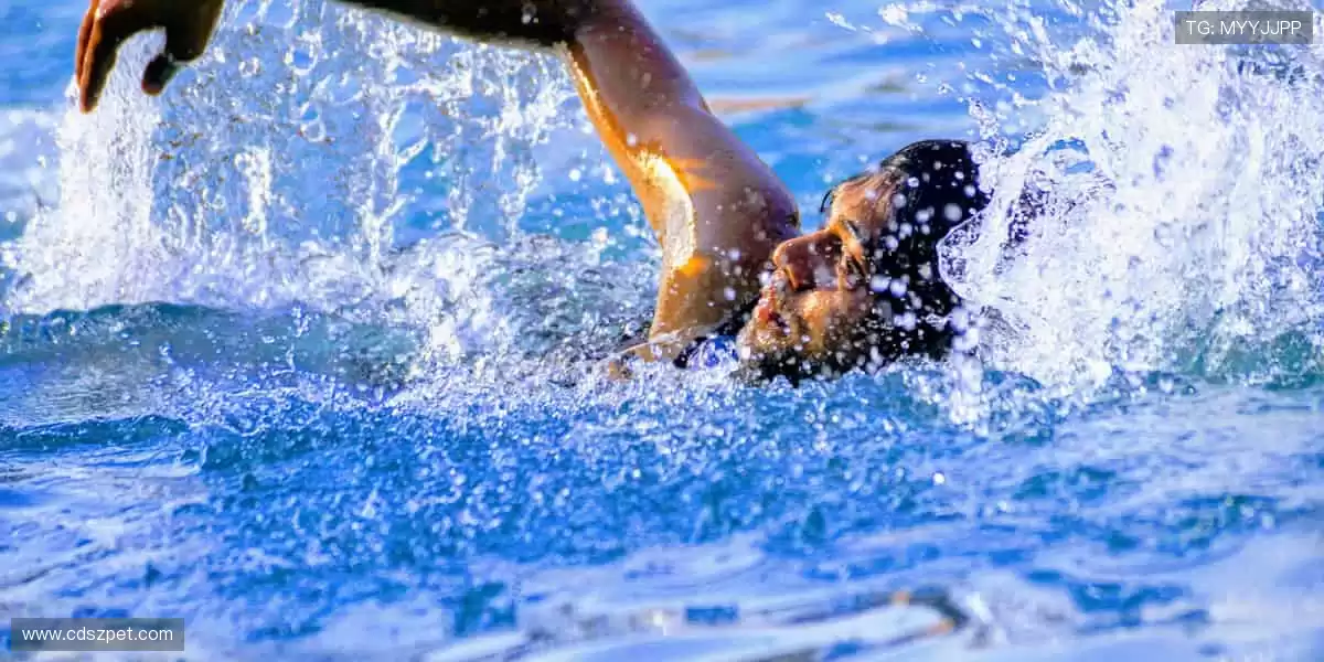 ⚡️速度与激情,赛道上的心跳时刻!🏎️